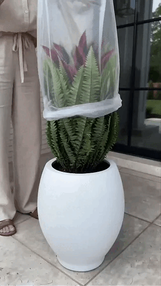 🔥LAST DAY SPECIAL 50% 🌿UV-Resistant Artificial Fern & Red Dracaena Decorative Plants – Full, Lush & Fade-Resistant!