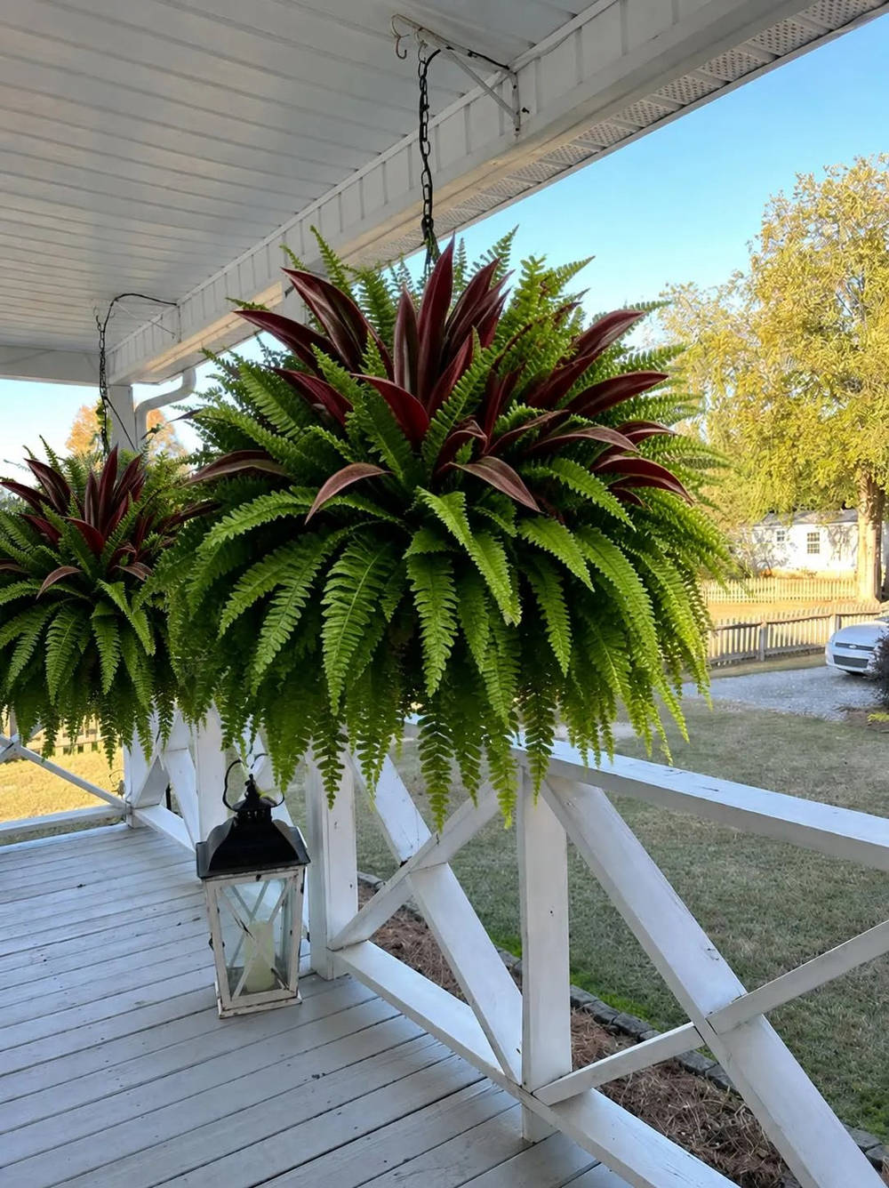🔥LAST DAY SPECIAL 50% 🌿UV-Resistant Artificial Fern & Red Dracaena Decorative Plants – Full, Lush & Fade-Resistant!